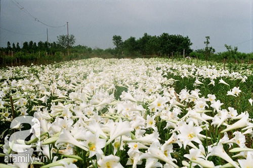 5 địa điểm tuyệt vời cho c&aacute;c "ph&oacute; nh&aacute;y"